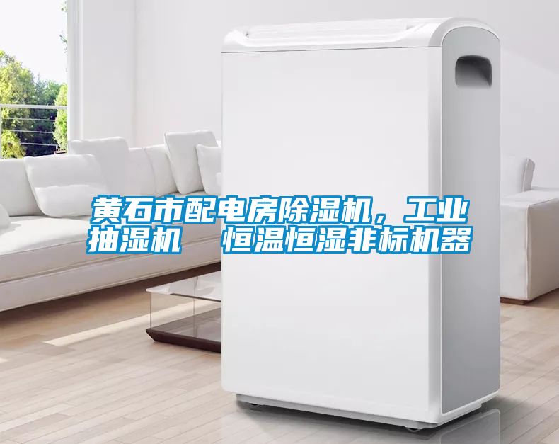 黃石市配電房除濕機，工業(yè)抽濕機  恒溫恒濕非標機器