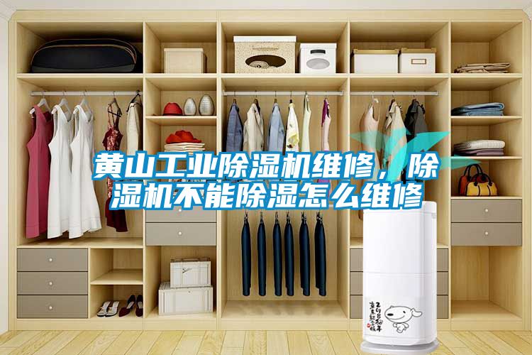 黃山工業(yè)除濕機(jī)維修，除濕機(jī)不能除濕怎么維修