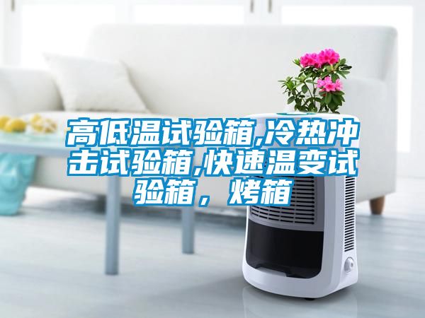 高低溫試驗(yàn)箱,冷熱沖擊試驗(yàn)箱,快速溫變試驗(yàn)箱，烤箱