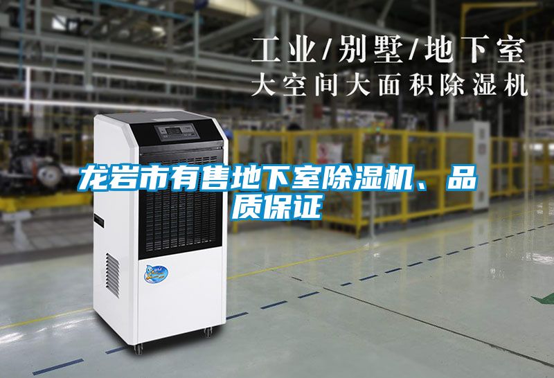 龍巖市有售地下室除濕機(jī)、品質(zhì)保證