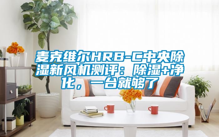 麥克維爾HRB-C中央除濕新風(fēng)機(jī)測(cè)評(píng)：除濕+凈化，一臺(tái)就夠了