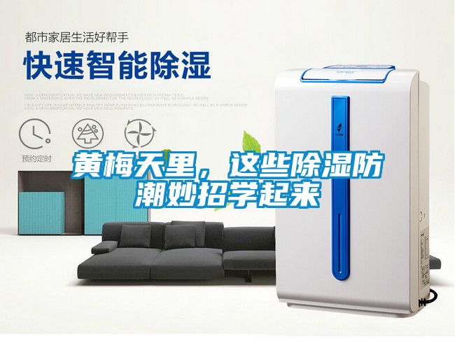 黃梅天里，這些除濕防潮妙招學起來