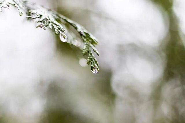 空氣濕度大帶來的危害有哪些，你知道嗎？