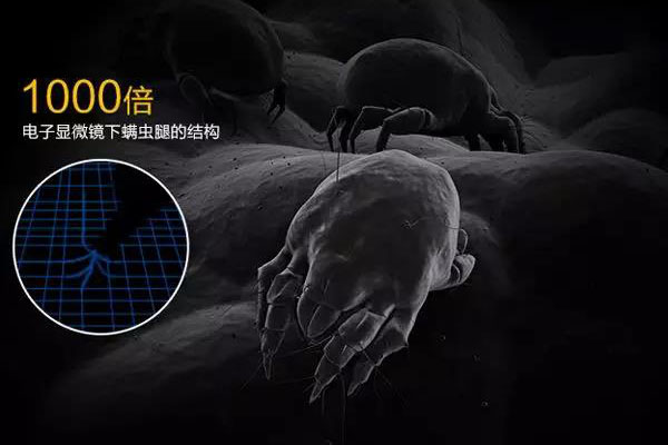 螨蟲高發(fā)季，家用除濕機除螨有妙計！