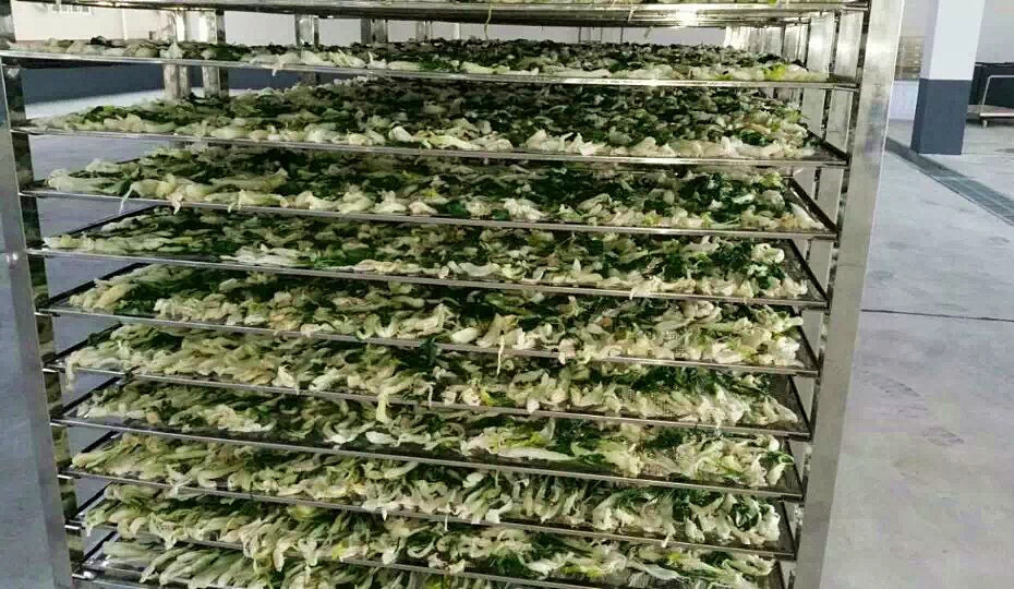菜干需求一直都很大，蔬菜烘干機很有市場