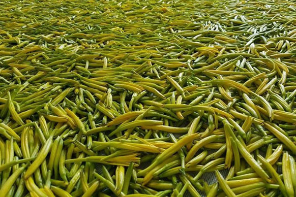 無硫金針菜烘干如何保持品相？不發(fā)黑？