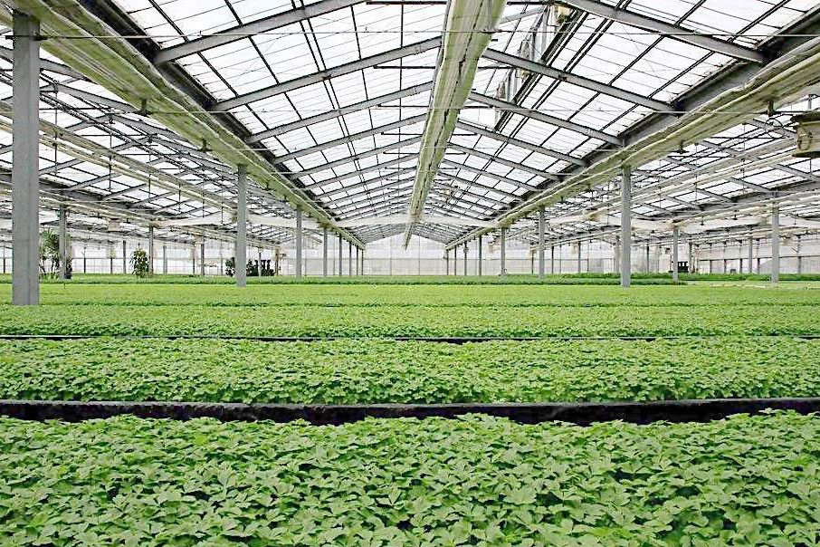 除濕器如何解決高濕度、多種危害的溫室除濕問題？